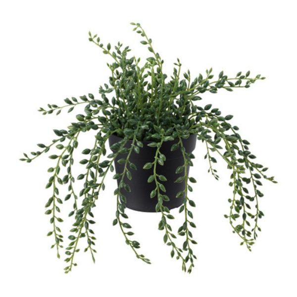 Fejka tanaman tiruan senecio manik manik dalam pot hitam 9 cm artificial plant