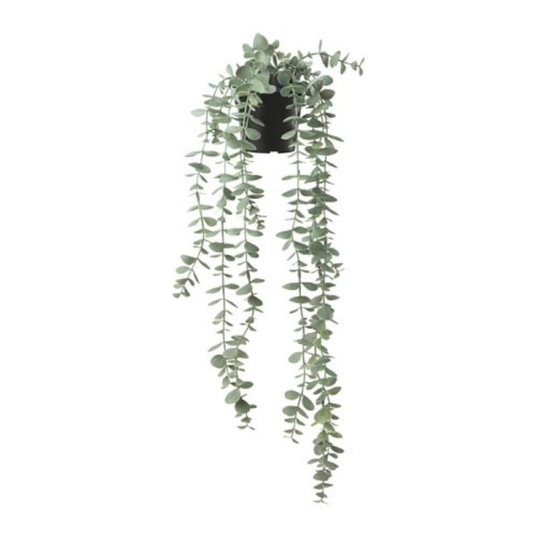 Fejka tanaman dekor dekorasi eucalyptus juntai dalam pot hitam hanging plant pot hitam 9 cm artifisial flower