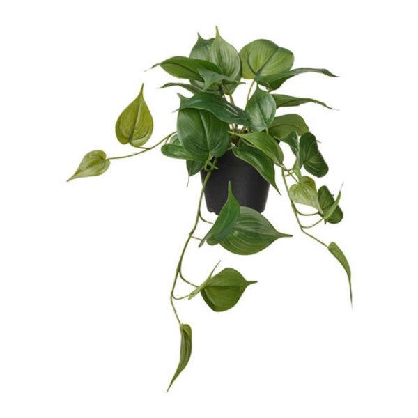 Fejka tanaman tiruan juntai golden pothos dalam pot hitam 12 cm artificial flower hias dekorasi pajangan