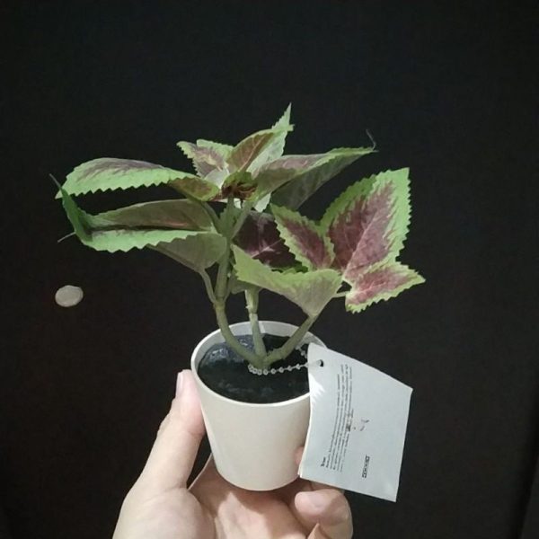 IKEA tanaman jelatang palsu hias dekorasi estetik dalam pot putih 5 cm TC-0586