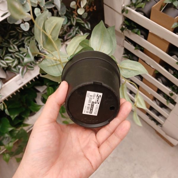 IKEA FEJKA tanaman spiderwort tiruan dalam pot hitam 9 cm TC-1069 - Image 2