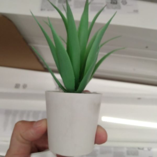 IKEA FEJKA tanaman sukulen mini dalam pot putih 6 cm tanaman tiruan artificial - Image 2