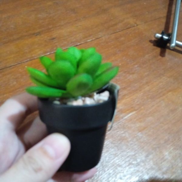 DAISO mini succulent artifisial tanaman sukulen kecil dalam pot tembikar TC-0518