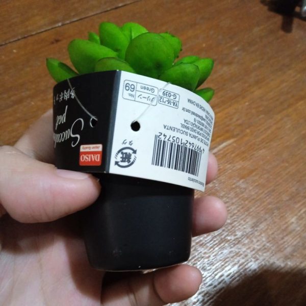 DAISO mini succulent artifisial tanaman sukulen kecil dalam pot tembikar TC-0518 - Image 3